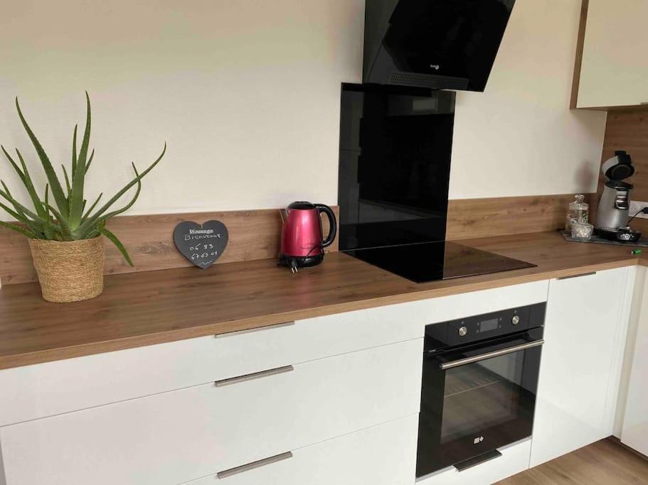 Le Chasseur Alpin Apartment Albertville Ngoại thất bức ảnh